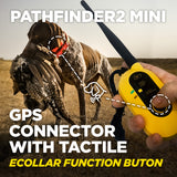 Dogtra Pathfinder 2 Mini System