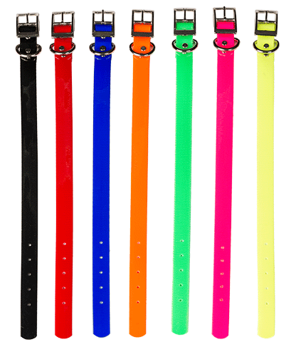 3/4'' Dayglo Collars w/Dee Ring - Coon Hunter Supply